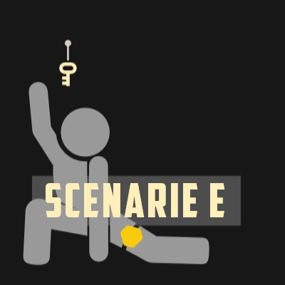 scenarie E Coyote