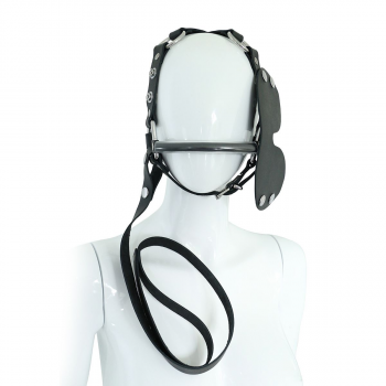 Leather Head Harness with Eye Patch and Leash