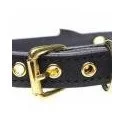 Golden Kitty Collar With Cat Bell - Black/Gold Golden Kitty Collar With Cat Bell - Black/Gold