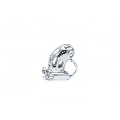 Belted Chastity Device with Ball Divider
