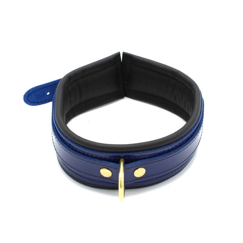Hvem Bruger Et Bl t BDSM Halsb nd Med D ring hvem-bruger-et-bl-t-bdsm-halsb-nd-med-d-ring