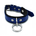 Black & Blue Leather Collar big O-Ring Black & Blue Leather Collar big O-Ring