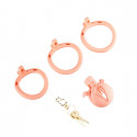 Sevanda Pink Pride Chastity Cage Kort fra Sadistenstoolbox