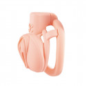 Sevanda Pink Pride Chastity Cage Kort fra Sadistenstoolbox