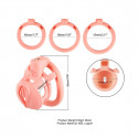 Sevanda Pink Pride Chastity Cage Lang fra Sadistenstoolbox