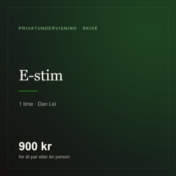 E-Stim Kursus – Elektrosex sikkert og trygt – 1 time fra Sadistenstoolbox