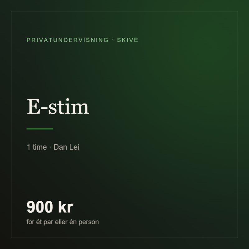 E-Stim Kursus – Elektrosex sikkert og trygt – 1 time fra Sadistenstoolbox