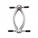 Clit Clamp with leash chain fra Sadistenstoolbox