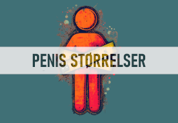 Penis størrelse - Hvad er normalt, og virker penisforlænger?